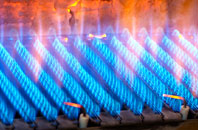 Ruloe gas fired boilers